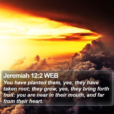 Jeremiah 12:2 WEB Bible Verse Image