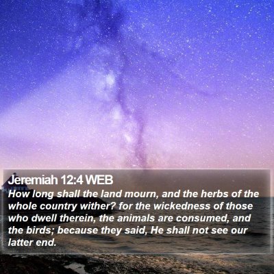 Jeremiah 12:4 WEB Bible Verse Image