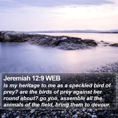 Jeremiah 12:9 WEB Bible Verse Image