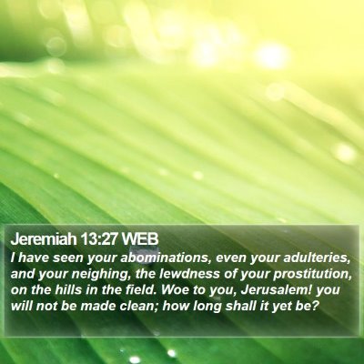 Jeremiah 13:27 WEB Bible Verse Image