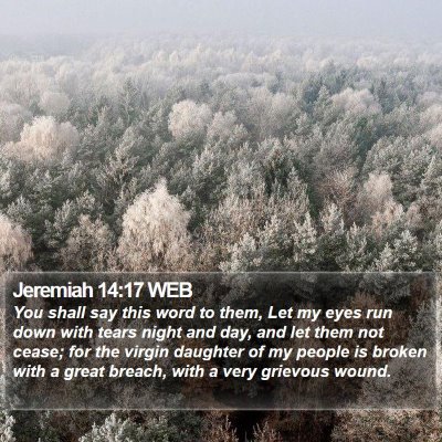 Jeremiah 14:17 WEB Bible Verse Image