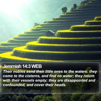 Jeremiah 14:3 WEB Bible Verse Image