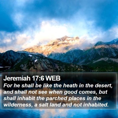 Jeremiah 17:6 WEB Bible Verse Image