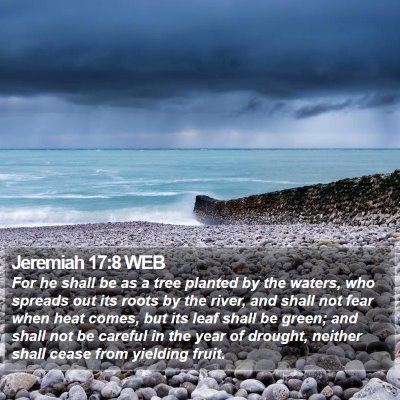 Jeremiah 17:8 WEB Bible Verse Image