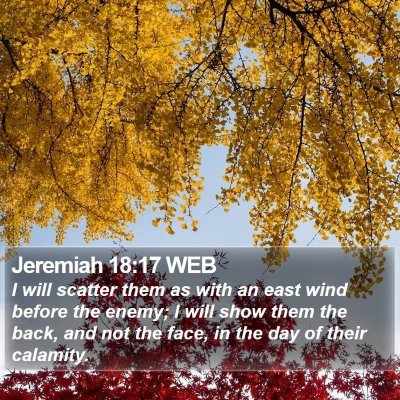 Jeremiah 18:17 WEB Bible Verse Image