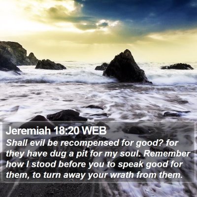 Jeremiah 18:20 WEB Bible Verse Image