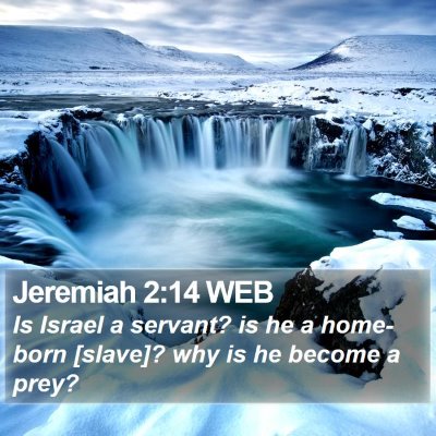 Jeremiah 2:14 WEB Bible Verse Image
