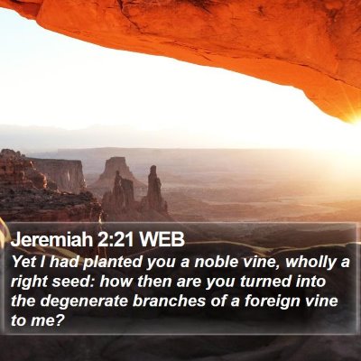Jeremiah 2:21 WEB Bible Verse Image