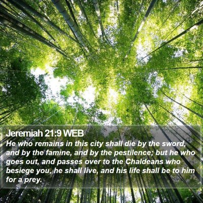 Jeremiah 21:9 WEB Bible Verse Image