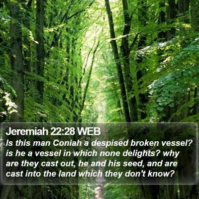 Jeremiah 22:28 WEB Bible Verse Image