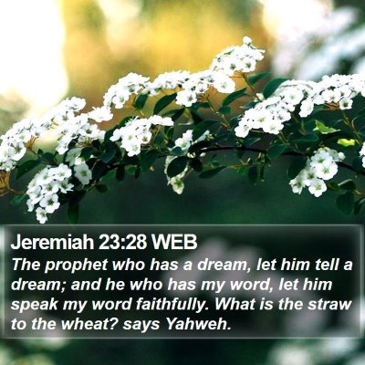 Jeremiah 23:28 WEB Bible Verse Image