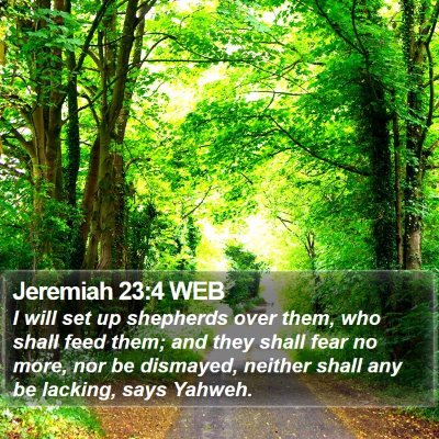 Jeremiah 23:4 WEB Bible Verse Image