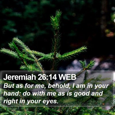 Jeremiah 26:14 WEB Bible Verse Image