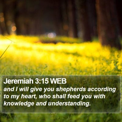 Jeremiah 3:15 WEB Bible Verse Image