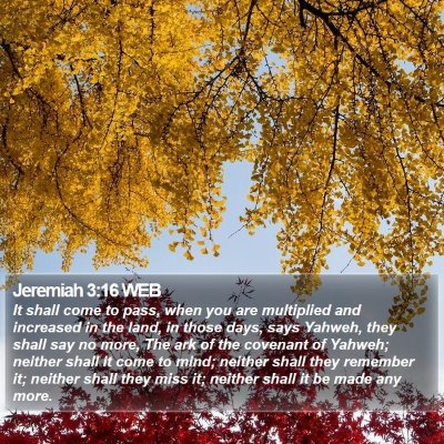 Jeremiah 3:16 WEB Bible Verse Image