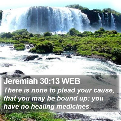 Jeremiah 30:13 WEB Bible Verse Image