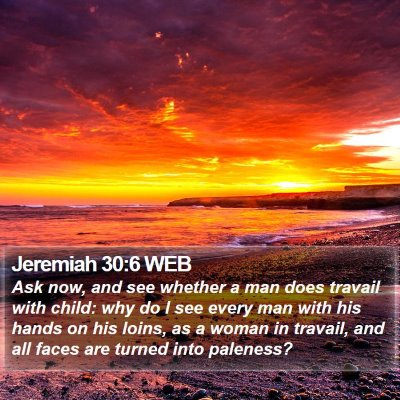 Jeremiah 30:6 WEB Bible Verse Image