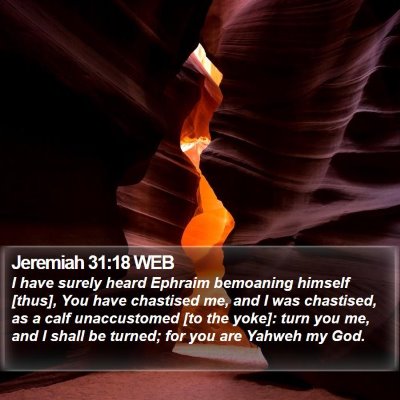 Jeremiah 31:18 WEB Bible Verse Image