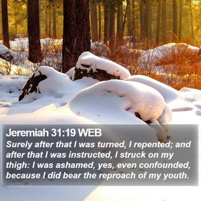Jeremiah 31:19 WEB Bible Verse Image