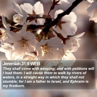 Jeremiah 31:9 WEB Bible Verse Image