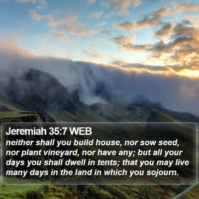 Jeremiah 35:7 WEB Bible Verse Image