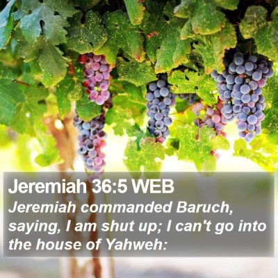 Jeremiah 36:5 WEB Bible Verse Image