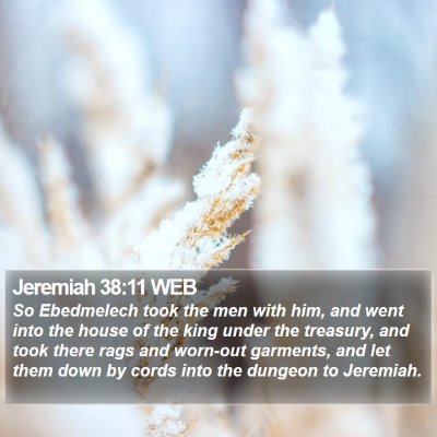 Jeremiah 38:11 WEB Bible Verse Image