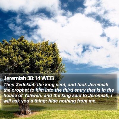 Jeremiah 38:14 WEB Bible Verse Image