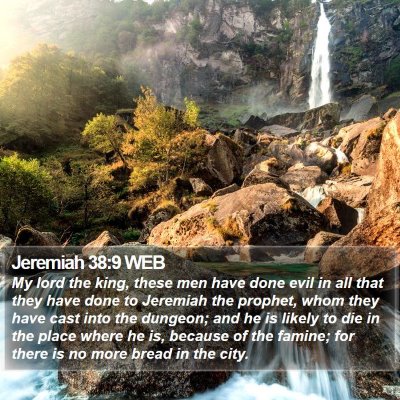Jeremiah 38:9 WEB Bible Verse Image