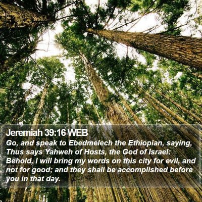 Jeremiah 39:16 WEB Bible Verse Image
