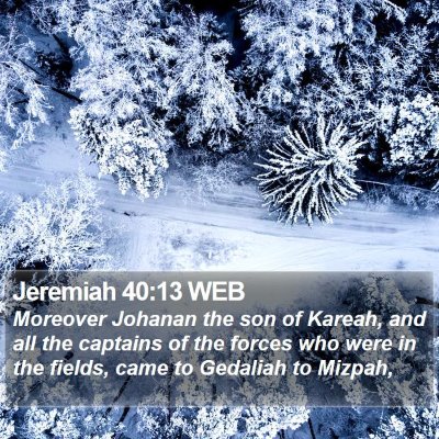 Jeremiah 40:13 WEB Bible Verse Image