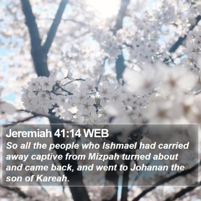Jeremiah 41:14 WEB Bible Verse Image