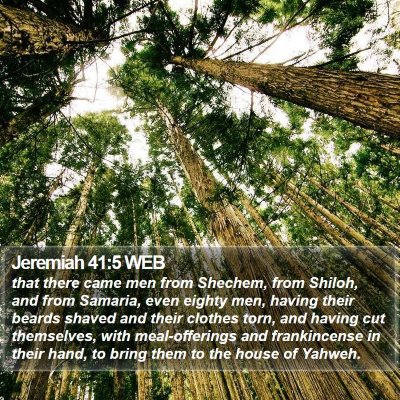 Jeremiah 41:5 WEB Bible Verse Image