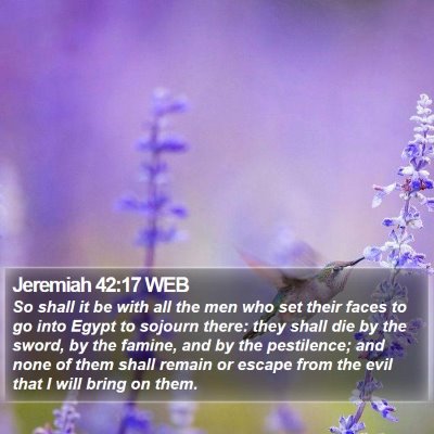 Jeremiah 42:17 WEB Bible Verse Image