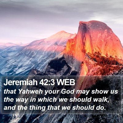 Jeremiah 42:3 WEB Bible Verse Image