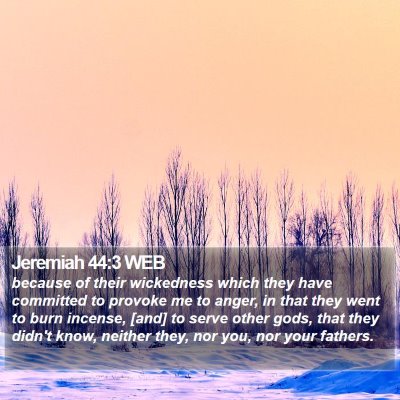 Jeremiah 44:3 WEB Bible Verse Image