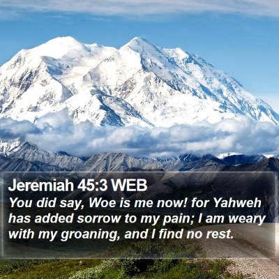 Jeremiah 45:3 WEB Bible Verse Image