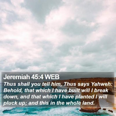 Jeremiah 45:4 WEB Bible Verse Image