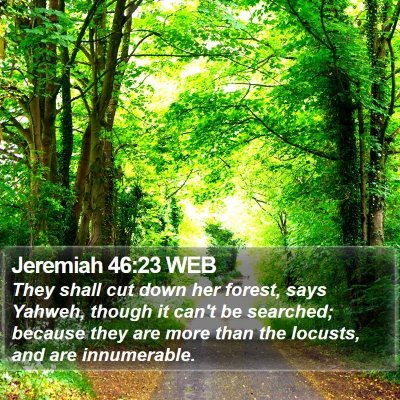 Jeremiah 46:23 WEB Bible Verse Image
