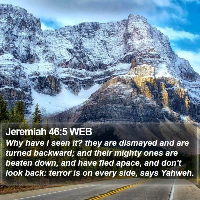 Jeremiah 46:5 WEB Bible Verse Image