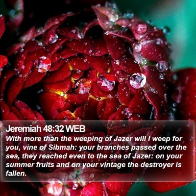 Jeremiah 48:32 WEB Bible Verse Image