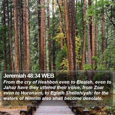 Jeremiah 48:34 WEB Bible Verse Image
