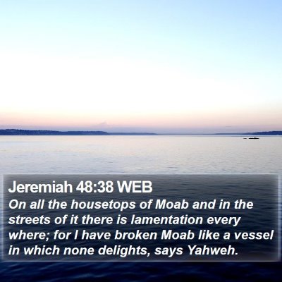 Jeremiah 48:38 WEB Bible Verse Image