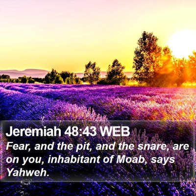 Jeremiah 48:43 WEB Bible Verse Image