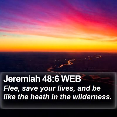 Jeremiah 48:6 WEB Bible Verse Image