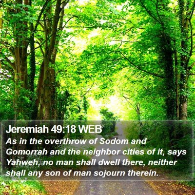 Jeremiah 49:18 WEB Bible Verse Image