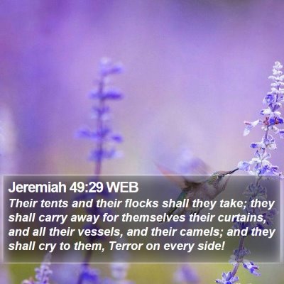 Jeremiah 49:29 WEB Bible Verse Image