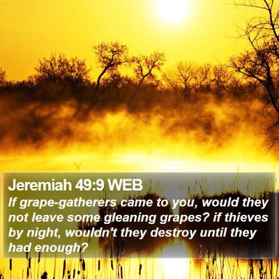 Jeremiah 49:9 WEB Bible Verse Image