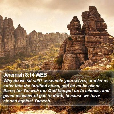 Jeremiah 8:14 WEB Bible Verse Image