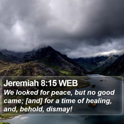 Jeremiah 8:15 WEB Bible Verse Image